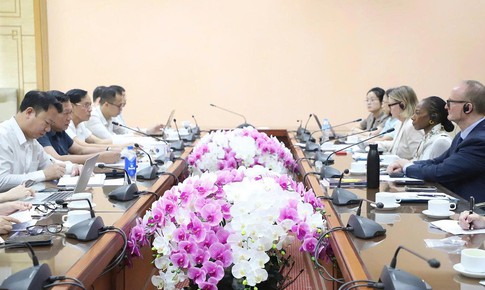 Bộ Y tế trao đổi với AARP về kinh nghiệm chăm sóc sức khỏe người cao tuổi