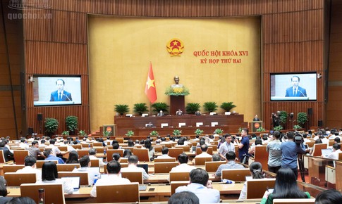 Đề xuất siết điều kiện nhận con nuôi, ngăn chặn tình trạng môi giới trục lợi