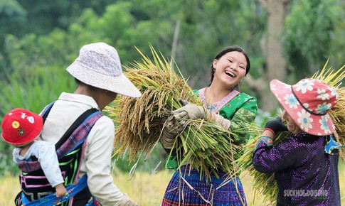 Vẻ đẹp bình dị của người phụ nữ Việt Nam: Từ phố thị đến vùng cao