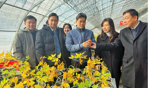 Đoàn công tác Bộ Y tế khảo sát mô hình phát triển dược liệu tại Trung Quốc, thúc đẩy hợp tác đầu tư, nghiên cứu và chuyển giao công nghệ