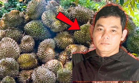 Cháu ruột phun thuốc diệt cỏ phá vườn sầu riêng của chú vì mâu thuẫn 