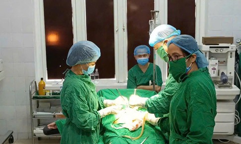 Cứu sống thai nhi sinh non phức tạp tại bệnh viện tuyến cơ sở