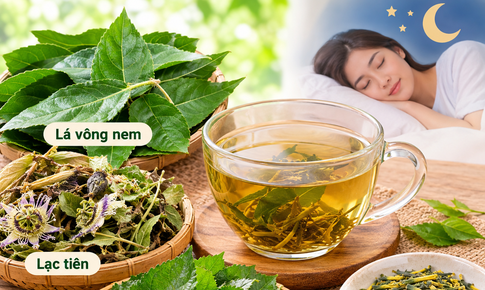 4 bài thuốc từ lá vông nem chữa mất ngủ