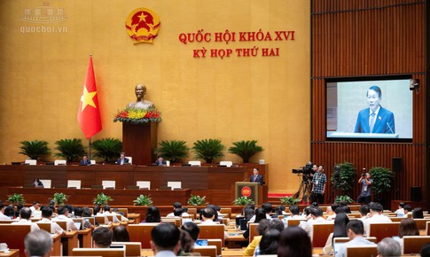Hôm nay, Quốc hội thảo luận về Bộ luật Hình sự (sửa đổi)