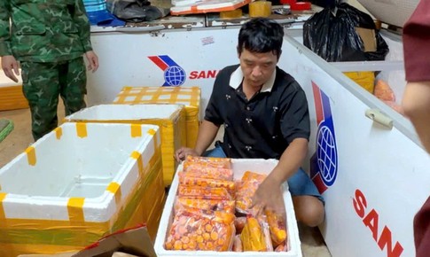 Lộ đường đi của 700 kg trứng gà non từ Trung Quốc vào Việt Nam