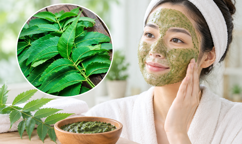Tác dụng của lá Neem Ấn Độ với sức khỏe