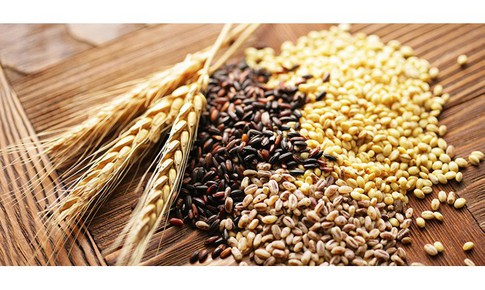 Cháo ngũ cốc - món ăn dưỡng sinh tốt cho người trung niên