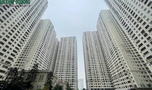 Hà Nội chốt phương án, dự kiến phá dỡ 3.900 căn hộ liên quan Tập đoàn Mường Thanh