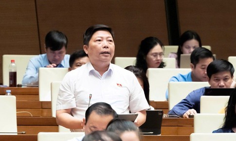 Đại biểu Quốc hội: Quyền người tiêu dùng không chỉ 'nằm trên giấy'