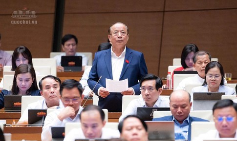 ĐBQH ủng hộ ngưỡng doanh thu 10 tỷ đồng/năm áp dụng tính thuế đơn giản