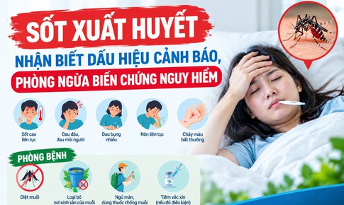 Inforgrapic: Dấu hiệu nhận biết và các biện pháp phòng ngừa biến chứng Sốt xuất huyết