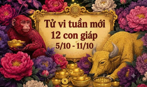Tử vi tuần mới 12 con giáp từ 5/10 - 11/10: Dần hanh thông, Tý gặp hung hóa cát