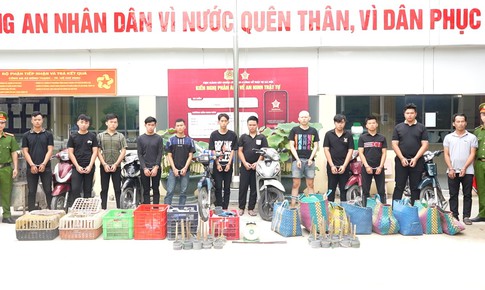 Trộm 2.700 con mèo ở TPHCM, nhóm đối tượng bị bắt, khởi tố
