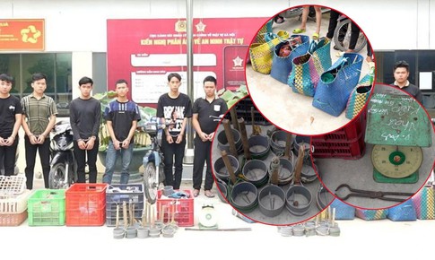Bắt trộm 2.700 con mèo ở TPHCM, 12 đối tượng bị khởi tố