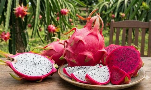 Thanh long giúp cải thiện táo bón khi thời tiết khô hanh
