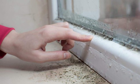 Nấm mốc trong nhà liên quan thế nào đến các triệu chứng hô hấp, dị ứng?