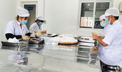 Công nghệ cao trong chế biến dược liệu: Giữ hoạt chất, nâng giá trị cây thuốc