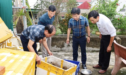 Hà Tĩnh ghi nhận ổ dịch sốt xuất huyết với 9 ca mắc