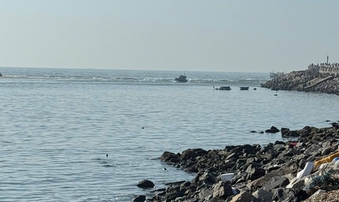 Tàu cá bị sóng đánh chìm, một ngư dân Lâm Đồng mất tích