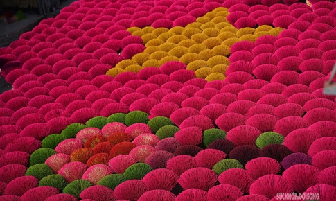 Sắc Tết rực rỡ tại làng hương Quảng Phú Cầu