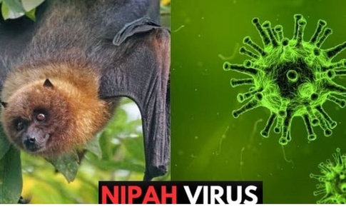 Singapore theo dõi chặt chẽ trường hợp nhiễm virus Nipah tại Bangladesh