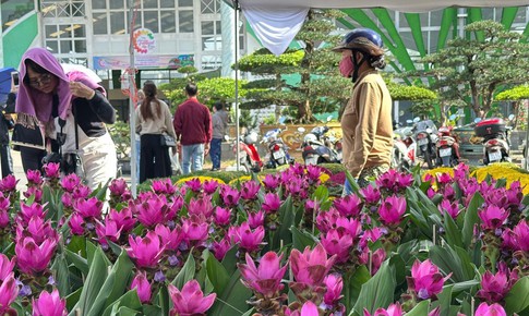 Thông tin mới nhất về thời tiết Tết Nguyên đán trên cả nước