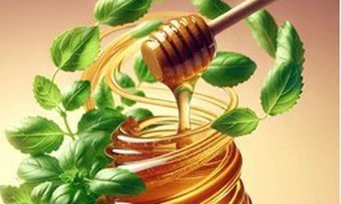 Kết hợp húng quế với mật ong có tác dụng gì?