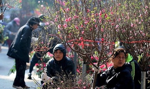 Miền Bắc có thể mưa phùn cả Tết Nguyên đán 2026