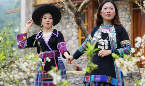 Xuân thức giấc trên cao nguyên đá Đồng Văn