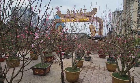 Chợ hoa Tết Tây Hồ: Đường phố thông thoáng, tiểu thương buôn bán trong trật tự