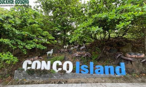 Tết bệnh viện (4): Những 'chiến sĩ áo trắng' nơi đảo tiền tiêu