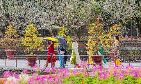 Di sản Huế 'khoác áo xuân' lộng lẫy, du khách quốc tế nườm nượp đổ về
