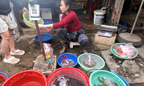 Người bán 'bật mí' nguyên nhân bất ngờ giá tôm tươi tăng trước Tết