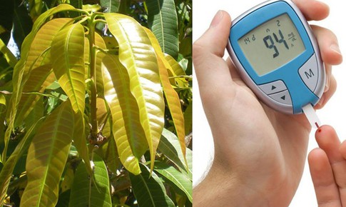 Loại lá quen thuộc hỗ trợ ổn định đường huyết