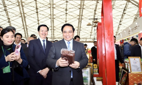 Thủ tướng: Hội chợ Mùa Xuân 2026 là 'bước chạy đà' bứt phá cho kinh tế năm mới