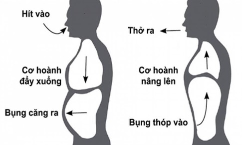 Đột ngột chóng mặt, tim đập nhanh: 6 kỹ thuật thở giúp ổn định nhịp tim trong vài phút