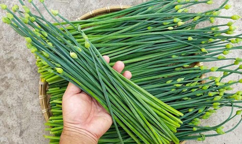 4 cách dùng rau hẹ chữa bệnh