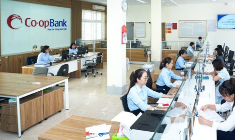 Thanh tra xác định một số tồn tại tại Co-opBank Ninh Bình