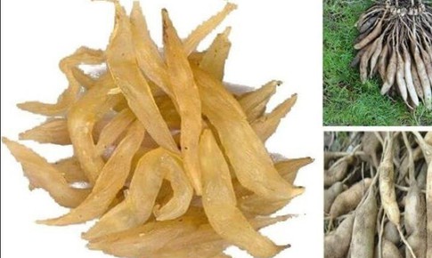 7 món cháo thuốc tốt cho người bệnh cúm