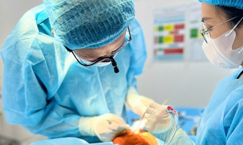 Chiêm nghiệm về nghề sau Ngày Thầy thuốc Việt Nam