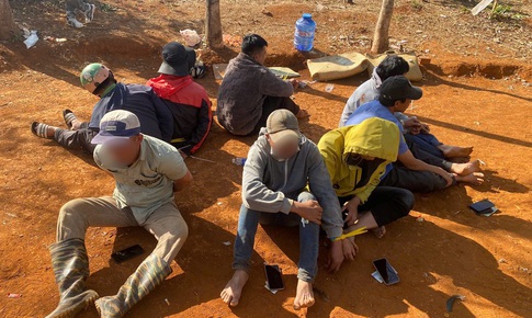 Triệt phá sới đá gà trong vườn cao su ở tỉnh Lâm Đồng