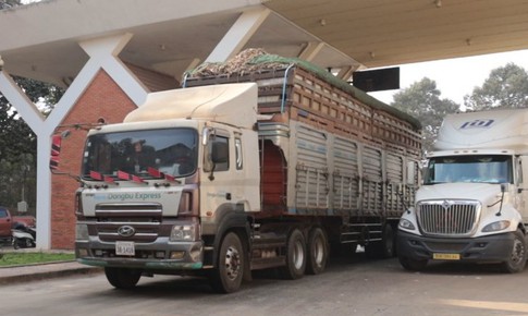 Thủ tướng chỉ đạo tháo gỡ ách tắc triển khai Nghị định 46/2026/NĐ-CP về an toàn thực phẩm