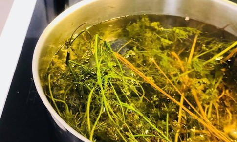 Ai không nên tắm lá mùi già ngày Tết