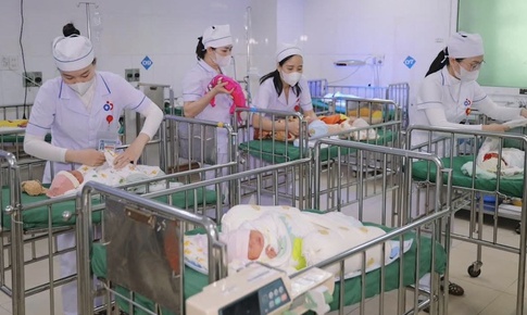 Lá chắn trắng giữa mùa Xuân