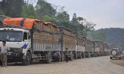 Thủ tướng chỉ đạo ban hành ngay Nghị quyết tháo gỡ vướng mắc liên quan đến Nghị định 46