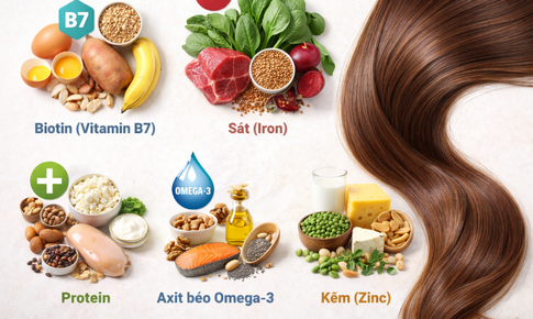 5 dưỡng chất thiết yếu giúp tóc mọc nhanh, chắc khỏe từ gốc đến ngọn