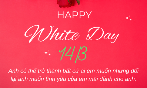 Lời chúc ngày Valentine 14/3 - Valentine trắng tặng người yêu ngọt ngào