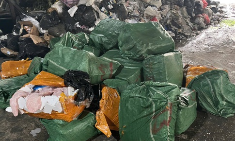 Phát hiện xe ô tô chở hơn 1,3 tấn nầm lợn không rõ nguồn gốc