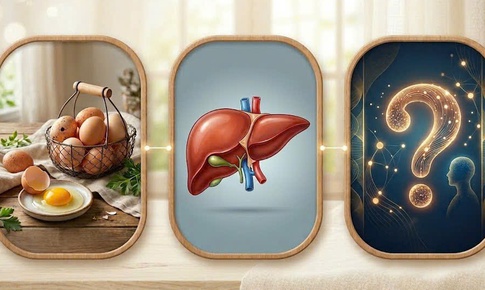 Người bị gan nhiễm mỡ có nên ăn trứng không? Thực tế nhiều người đang hiểu lầm
