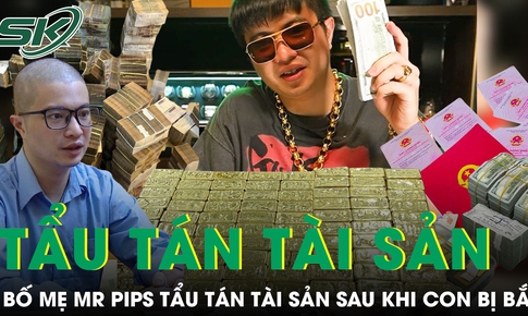 Bố mẹ Mr Pips rút 125 tỷ mua USD, 314 cây vàng sau khi con bị bắt